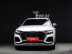 Audi - RSQ8 (4M) 4,0 TFSI Quattro