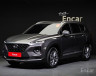 Hyundai SantaFe TM