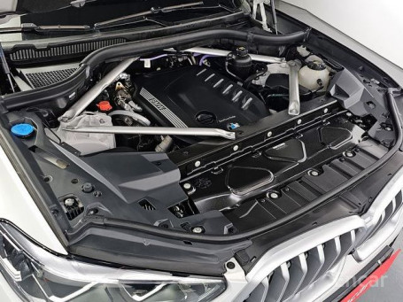 BMW - X6 (G06) xDrive 30d M Sport