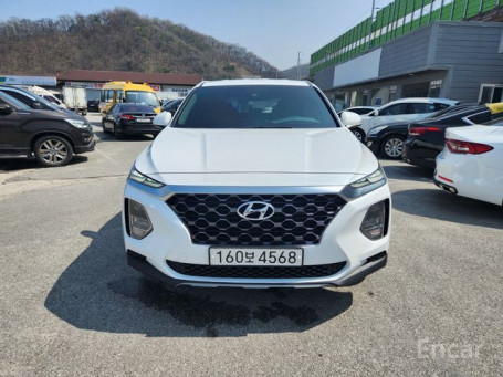 Hyundai SantaFe TM