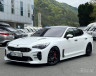 Kia Stinger Meister